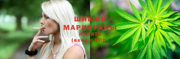 шишки Каменногорск
