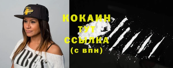 прущие грибы Каменка