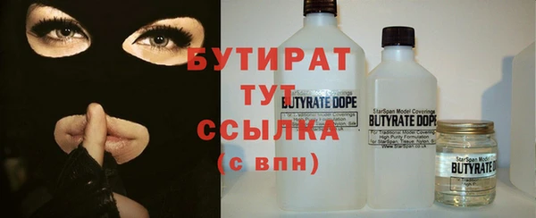 прущие грибы Каменка