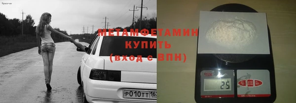 прущие грибы Каменка