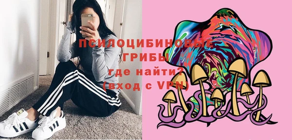 прущие грибы Каменка