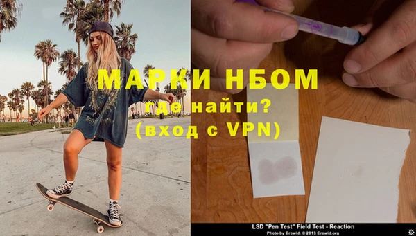 прущие грибы Каменка