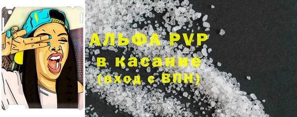 прущие грибы Сосновка