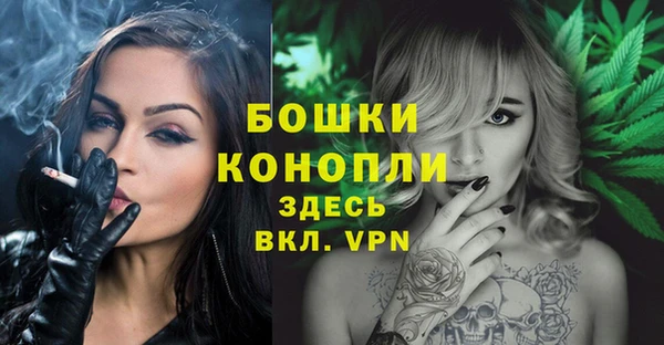 прущие грибы Сосновка