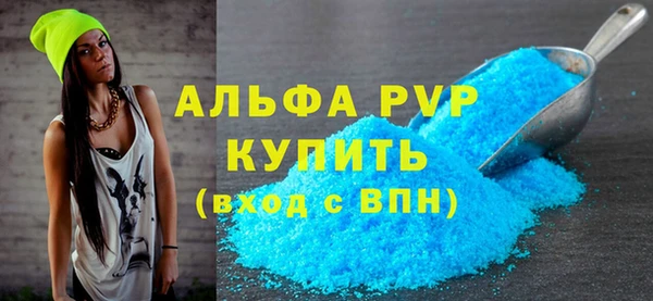 прущие грибы Каменка