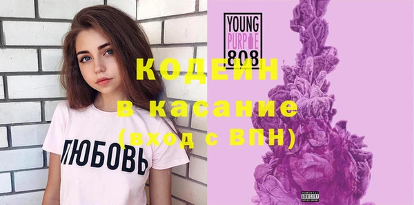 шишки Каменногорск