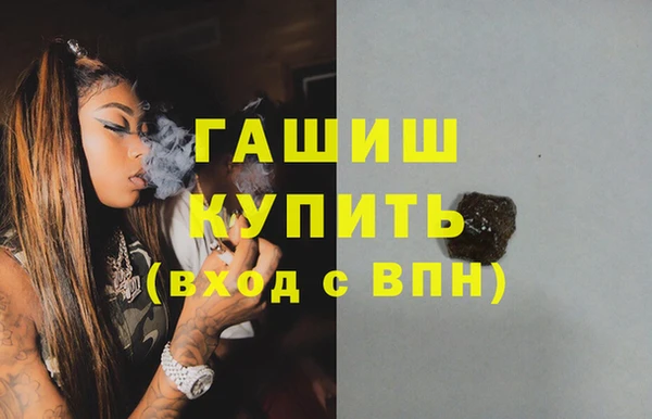 шишки Каменногорск