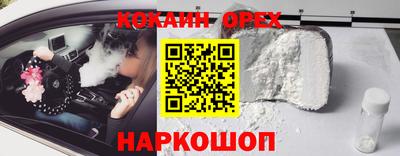 стафф Кингисепп