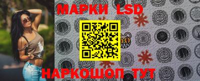 стафф Кингисепп