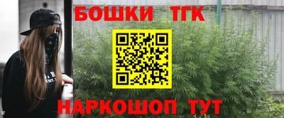 стафф Кингисепп