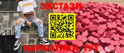 стафф Кингисепп