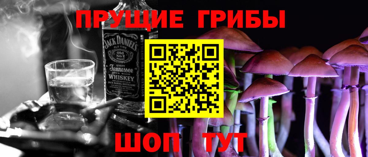 продажа наркотиков  Галлюциногенные грибы Cubensis  Вход с VPN  Советск 