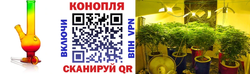 Шишки марихуана сатива  Советск 